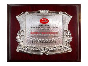 2011年度省建設(shè)工程錢江杯獎(jiǎng)——籌建的愛山廣場（步行街區(qū)）1#、3#標(biāo)段