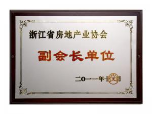 省房地產(chǎn)協(xié)會副會長單位